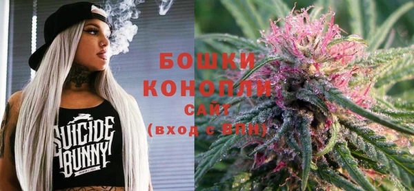 первитин Богородицк