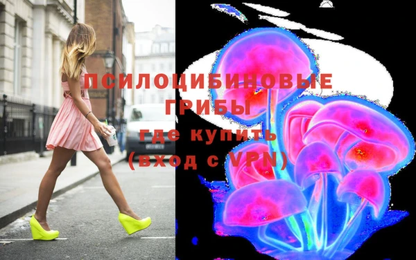 сатива Богданович