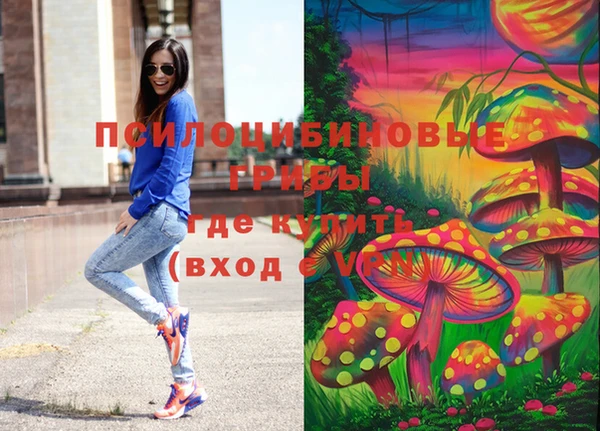 сатива Богданович