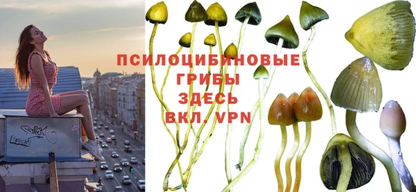 сатива Богданович