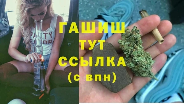 гашик Богородск