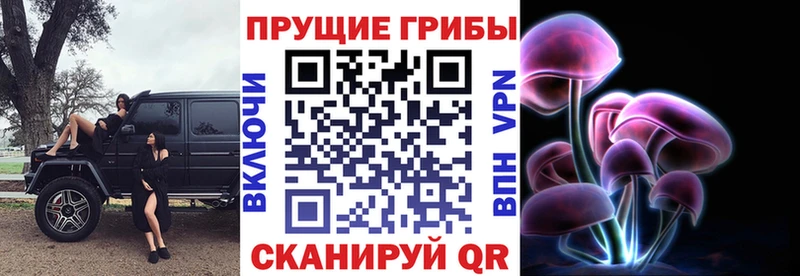 Псилоцибиновые грибы ЛСД  сколько стоит  Короча 